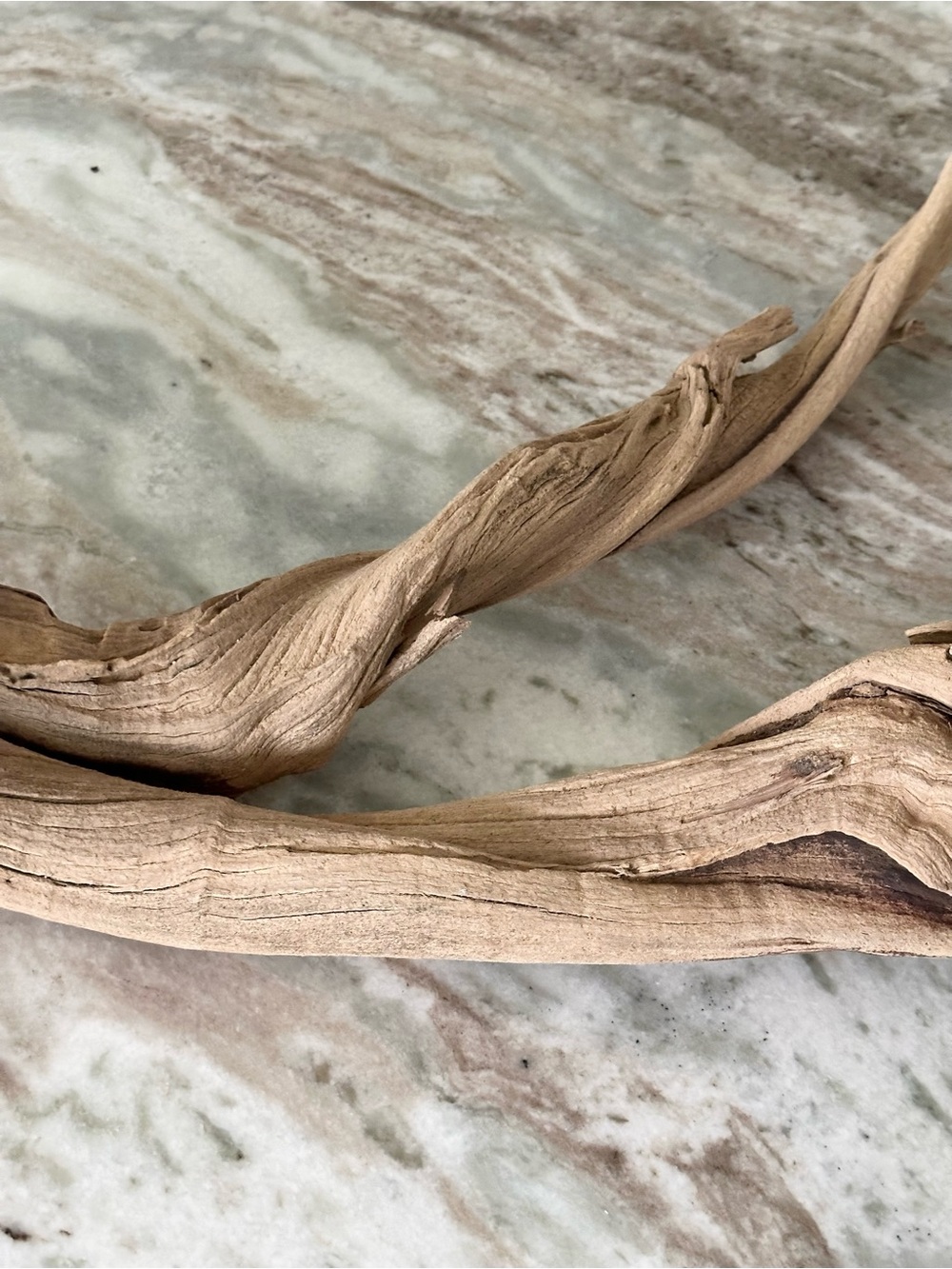 Large Natural Driftwood Branch - Coastal Beach Decor - Picture 11 of 17